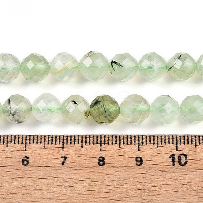 Natural Prehnite Beads Strands G-S345-8mm-28-1