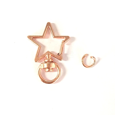 Star Alloy Swivel Clasps PURS-PW0001-430RG-1