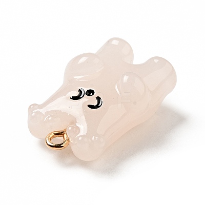 Cartoon Opaque Resin Pendants LS-FIND-I029-01E-1