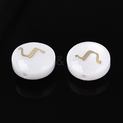 Natural Freshwater Shell Beads LS-BSHE-ZX007-03G-1