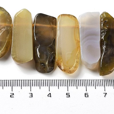 Natural Botswana Agate Beads Strands G-L551B-15-1