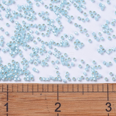 MIYUKI Delica Beads X-SEED-J020-DB0628-1