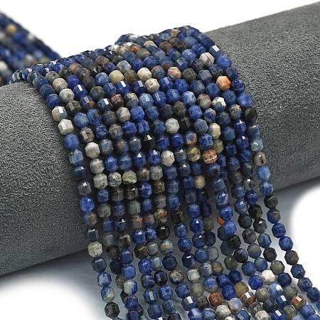 Natural Sodalite Beads Strands G-A260-A19-01-1