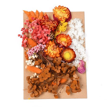 Dried Flower DIY-B018-06-1