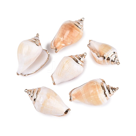 Electroplated Golden Brass Trim Natural Spiral Shell Big Pendants SSHEL-N042-35-1