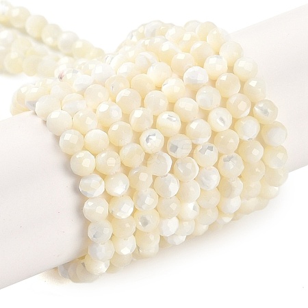 Shell Beads Strands SSHEL-E571-38-4mm-1