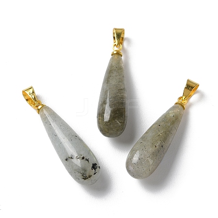 Natural Labradorite Teardrop Pendants X-G-Q005-03G-07-1