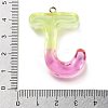 Resin Pendant FIND-Q107-01J-03-3