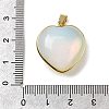 Natural & Synthetic Mixed Gemstone Pendants G-B149-10G-4