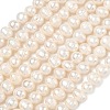Natural Cultured Freshwater Pearl Beads Strands PEAR-L034-10B-2