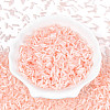 Glass Bugle Beads X-SEED-N007-28O-2