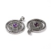 Natural Amethyst Pendants G-L524-05AS-04-3