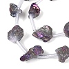 Electroplate Raw Rough Natural Amethyst Beads Strands G-Q610-06D-4
