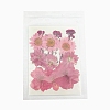 Pressed Dried Flowers DIY-B070-01A-1