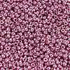 MIYUKI Round Rocailles Beads X-SEED-G007-RR4218-2