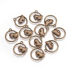 Alloy Pendants EA9508Y-AB-1