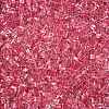 6/0 Transparent Inside Colours Glass Seed Beads SEED-N006-003K-3