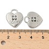 Alloy Pendants PALLOY-F316-08P-3
