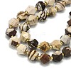 Natural Zebra Jasper Beads Strands G-I376-A33-01-3