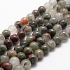 Natural African Bloodstone Beads Strands G-G735-32-8mm-1