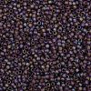 TOHO 8/0 Round Beads SEED-TR08-0166BF-2