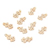 Brass Micro Pave Cubic Zirconia Pendants ZIRC-O044-18G-1