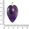 Natural Amethyst Pendants G-G470-03G-05-3
