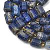 Natural Lapis Lazuli Beads Strands G-D103-A02-4