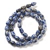 Natural Blue Spot Jasper Beads Strands G-B106-A15-01-3