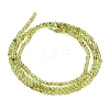 Natural Peridot Beads Strands G-A322-A07-2mm-5