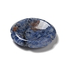 Natural Blue Spot Jasper Worry Stones G-E586-01U-4
