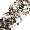 Natural Lodolite Quartz Beads Strands G-E569-J05-1