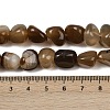 Natural Agate Beads Strands G-L630-F01-01D-5