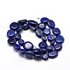 Natural Lapis Lazuli Gemstone Nuggets Bead Strands X-G-J336-31-2