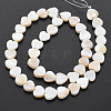 Natural Freshwater Shell Beads Strands SHEL-S276-70-3