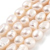 Natural Cultured Freshwater Pearl Beads Strands PEAR-P062-29A-1
