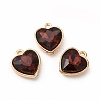 Faceted Glass Rhinestone Pendants GLAA-I051-B04-2