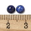 Natural Lapis Lazuli Cabochons G-Q173-01B-11-3