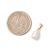 Natural Cultured Freshwater Pearl Rice Charms X-PALLOY-JF04823-3