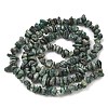 Natural Jade Beads Strands G-Z081-A02-3