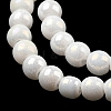 Electroplate Opaque Glass Beads Strands EGLA-K014-A-B01-4