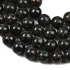 Natural Seraphinite Beads Strands G-H337-A03-04-4