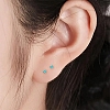 PP and PVC Earring Findings Kits SJEW-YW001-01-6
