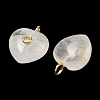 Natural Quartz Crystal Pendants G-B180-03G-12-2