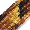 Natural Amber Beads Strands G-L095-E01-02-2