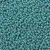 MIYUKI Round Rocailles Beads X-SEED-G007-RR0435-3
