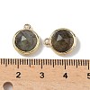 Natural Labradorite Faceted Flat Round Charms G-U028-03G-06-3