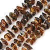 Natural Amber Beads Strands G-F802-A01-01-2