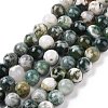 Natural Tree Agate Beads Strands G-K194-6mm-02-2