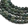 Natural Moss Agate Beads Strands G-F453-8mm-7